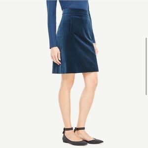 Ann Taylor Velvet Skirt